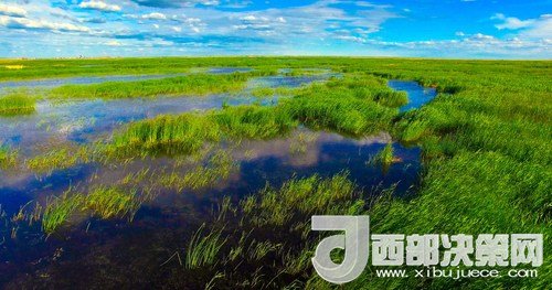 呼倫湖濕地。吳勇攝