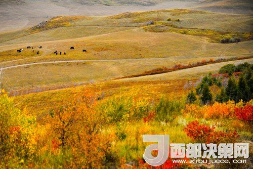 錫林郭勒草原國家級自然保護區(qū)。吳勇攝