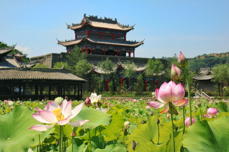 【云游渭南】心中若有桃花源，此處便是水云間！待疫情散盡，一起來渭南桃花源賞美景、觀民俗、享美食_fororder_2
